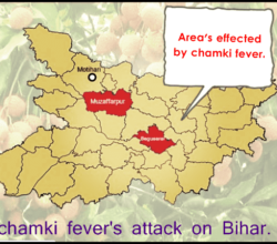 Chamki Bukhar kya hai in Bihar